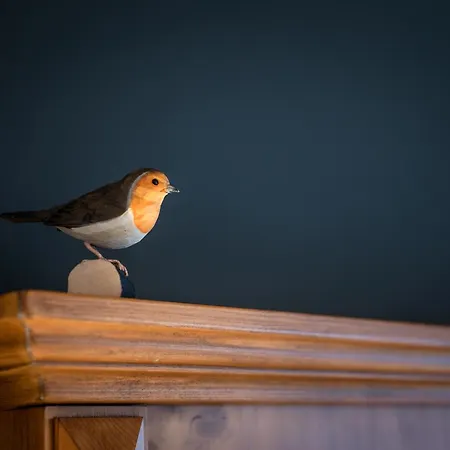 فندق Der Wiesenhof