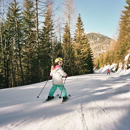 Der Wiesenhof فندق بيرتيساو